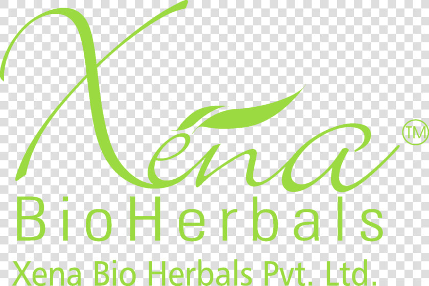 Logo   Xena Bio Herbals Logo  HD Png DownloadTransparent PNG