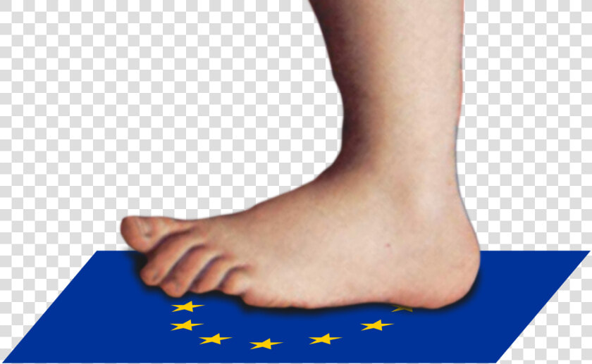 Monty Python Foot Png  Transparent PngTransparent PNG