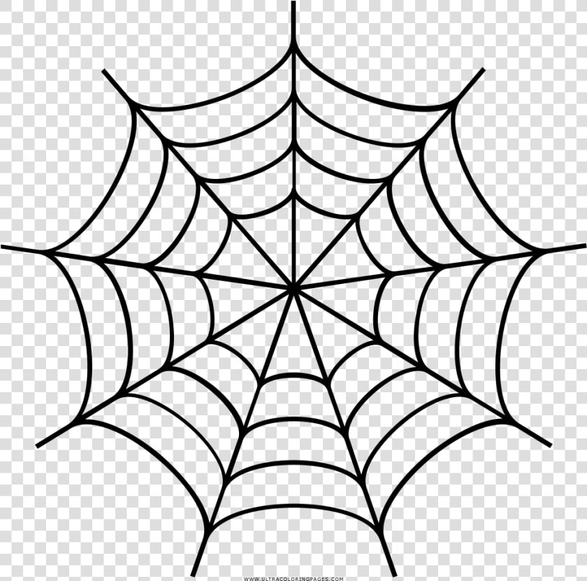 Spider Web Drawing Transprent   Spider Web Clipart Black And White  HD Png DownloadTransparent PNG