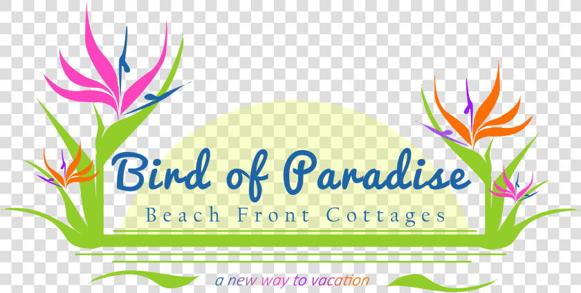 Bird Of Paradise Beach Front Cottages   Birds Of Paradise Logo  HD Png DownloadTransparent PNG