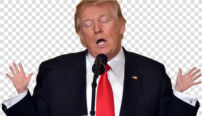 Donald Trump Png   Trump Gif Png  Transparent PngTransparent PNG