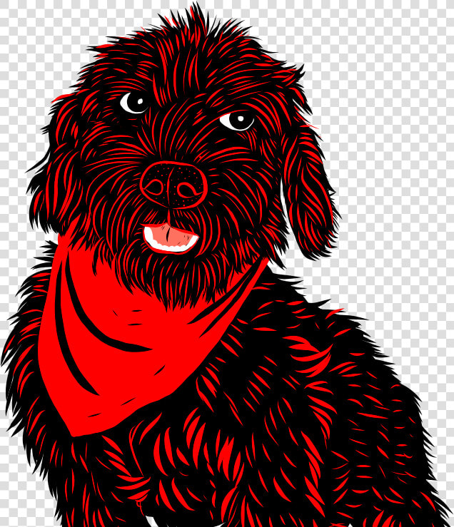 Https     fundacioncbh   Cl    Labradoodle  HD Png DownloadTransparent PNG