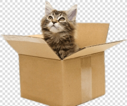 Cat In Box Png   Cat In Cardboard Box Png  Transparent PngTransparent PNG