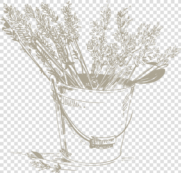 Lavender Water Is Used In Cosmetics For Its Calming    Bouquet  HD Png DownloadTransparent PNG