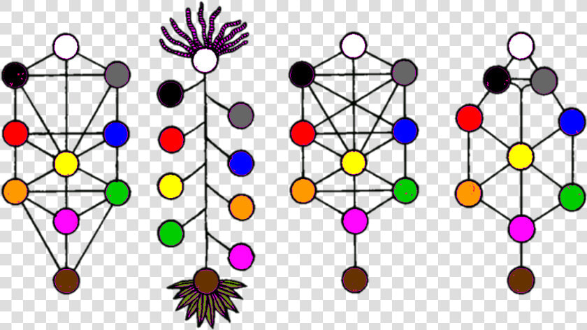 Tree Of Life Variants   Circle  HD Png DownloadTransparent PNG