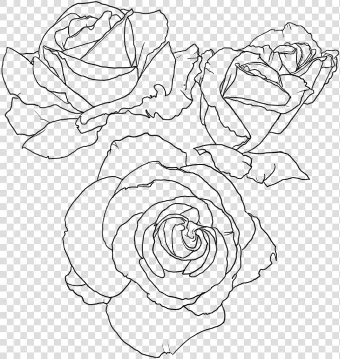 Rose Lineart   Transparent Rose Line Art  HD Png DownloadTransparent PNG