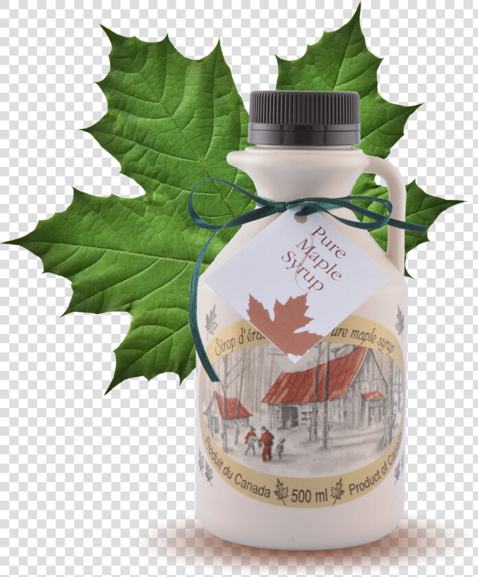 Maple Syrup Pint  500ml   Maple Syrup Maple Leaf Canada Souvenirs  HD Png DownloadTransparent PNG