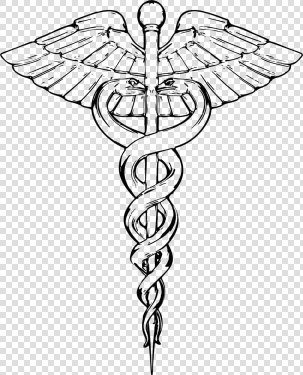 Line Art plant symmetry   Caduceus Line Drawing  HD Png DownloadTransparent PNG