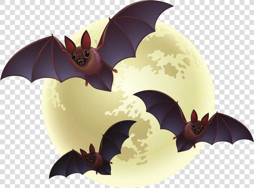 Creepy Bats Halloween   Scary Halloween Transparent Background  HD Png DownloadTransparent PNG