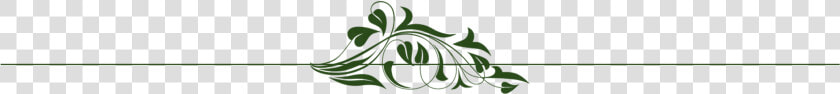 Floral Line Dividers Png  Transparent PngTransparent PNG