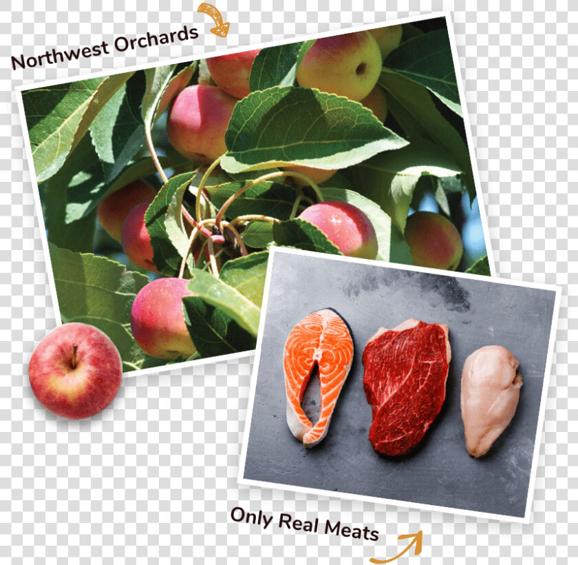 Real Meats And Fruits   Apple  HD Png DownloadTransparent PNG