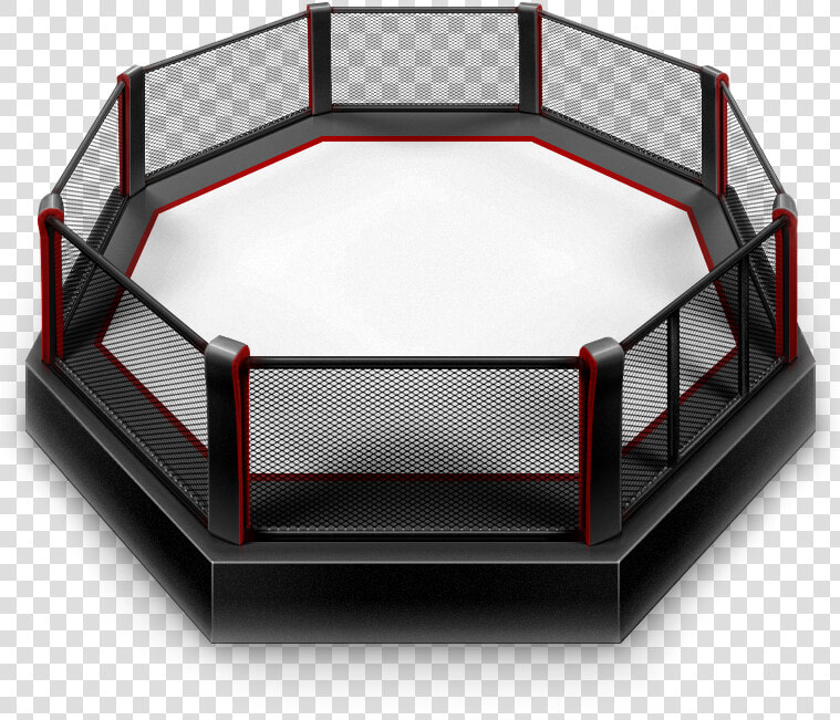 Octagon Fight Png  Transparent PngTransparent PNG