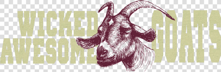 Wicked Awesome Goats   Stubborn Goat  HD Png DownloadTransparent PNG