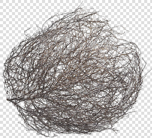 Tumbleweed Png  Transparent PngTransparent PNG