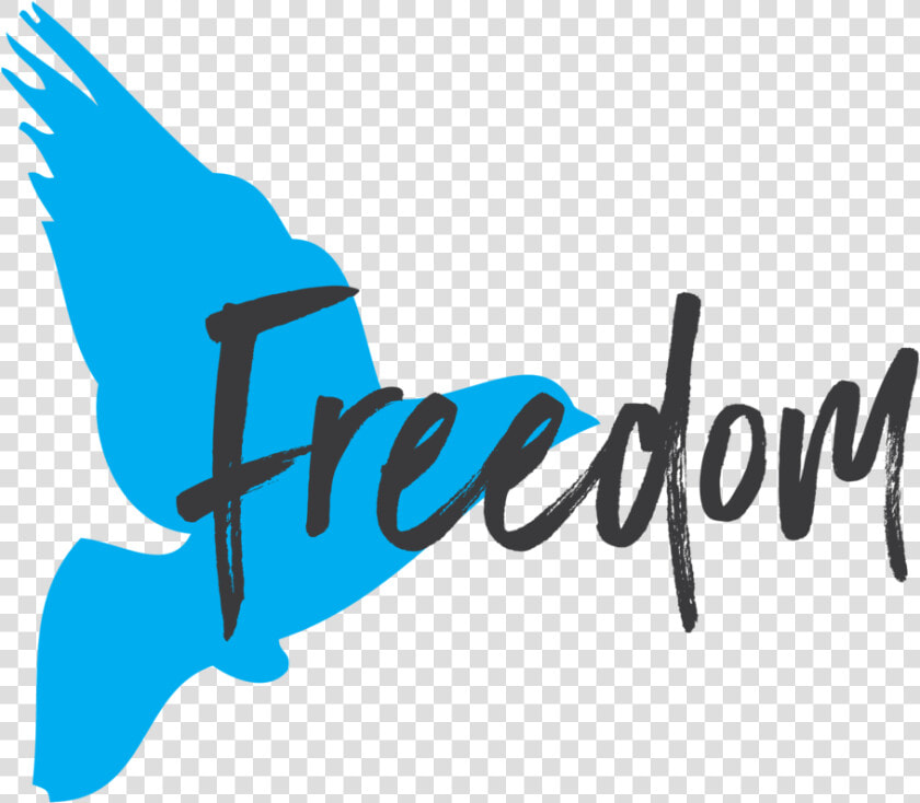 Transparent Baseball Stitches Png   Freedom Logo Transparent Png  Png DownloadTransparent PNG