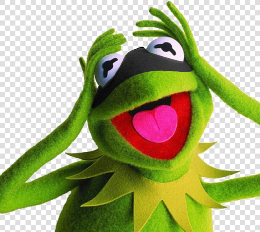 Kermit The Frog Elmo Miss Piggy Gonzo   Kermit The Frog Sorry  HD Png DownloadTransparent PNG