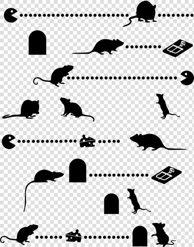 Transparent Mouse Silhouette Png   Siluetas De Gatos Y Ratones  Png DownloadTransparent PNG