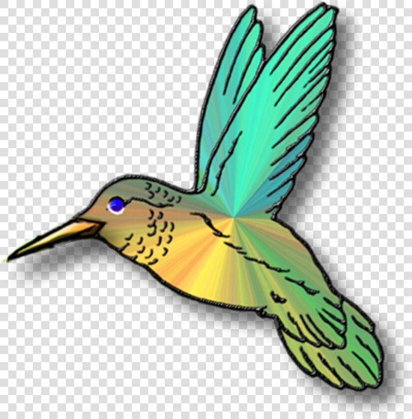 Hummingbird Clip Art Clipart Panda Free Images Animations   Transparent Background Hummingbird Clip Art  HD Png DownloadTransparent PNG