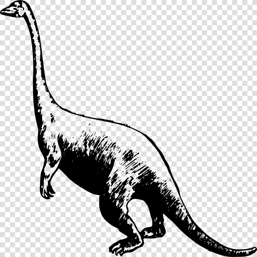 Basic Dinosaur Clip Arts   Dinosaur  HD Png DownloadTransparent PNG