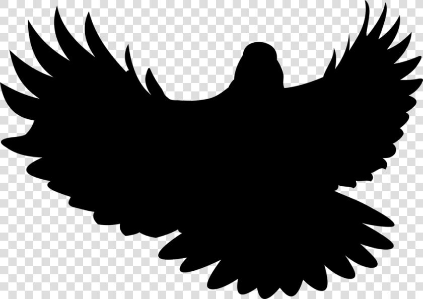 Bird  Wings  Pen  Flight  Nature  Wild Birds   Illustration  HD Png DownloadTransparent PNG