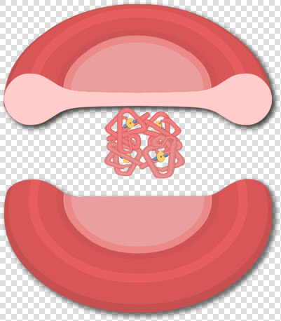 Hemoglobin Clipart  HD Png DownloadTransparent PNG