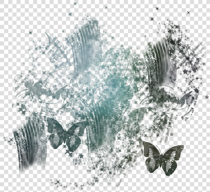 Butterfly Masked Texture   Texture Overlay Hd  HD Png DownloadTransparent PNG