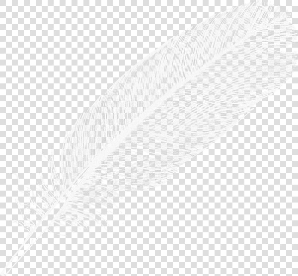 Large Transparent Png Digiscrap   Clear Background White Feather Png  Png DownloadTransparent PNG