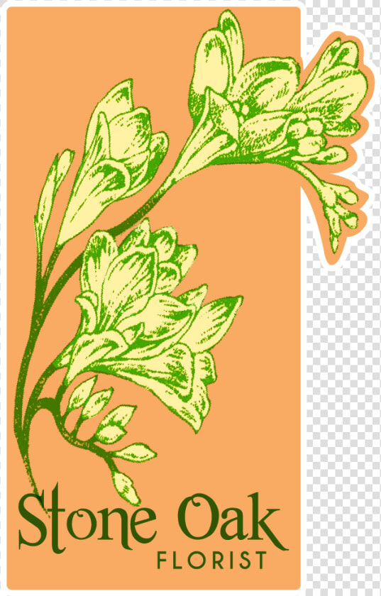 Stone Oak Florist   Illustration  HD Png DownloadTransparent PNG