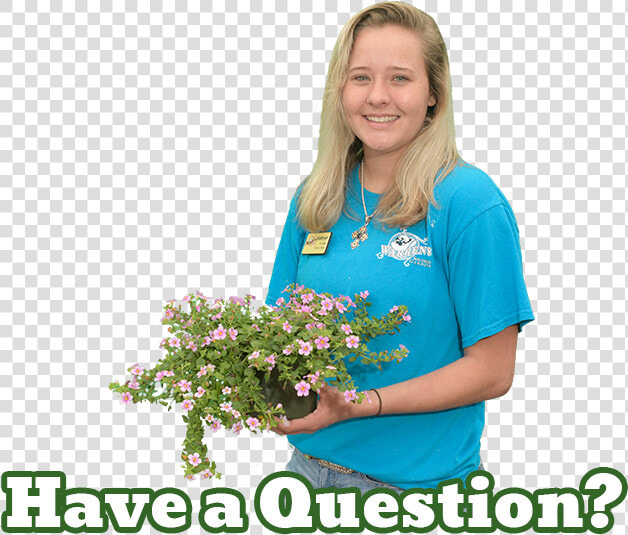 Warren S Southern Gardens Expert Kathryn   Bouquet  HD Png DownloadTransparent PNG