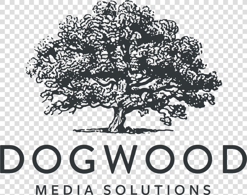 Dogwood Media Solutions  HD Png DownloadTransparent PNG