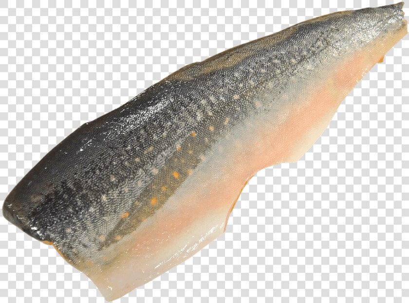 Salmon   Fish Fillets With Transparent Background  HD Png DownloadTransparent PNG