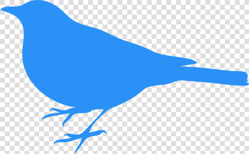 Bluebird  Bird  Animal  Blue  Wildlife  Ornithology   Silhouette Bird Black And White Clipart  HD Png DownloadTransparent PNG