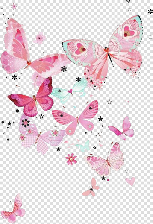 Pink Butterfly Png Transparent Image   Transparent Background Pink Butterfly Png  Png DownloadTransparent PNG