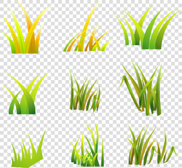 Desert Grass Vector   Png Download   Grass Vector  Transparent PngTransparent PNG