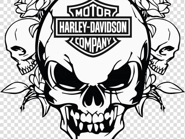 Transparent Harley Motorcycle Clipart Black And White   Harley Davidson Skull Art  HD Png DownloadTransparent PNG