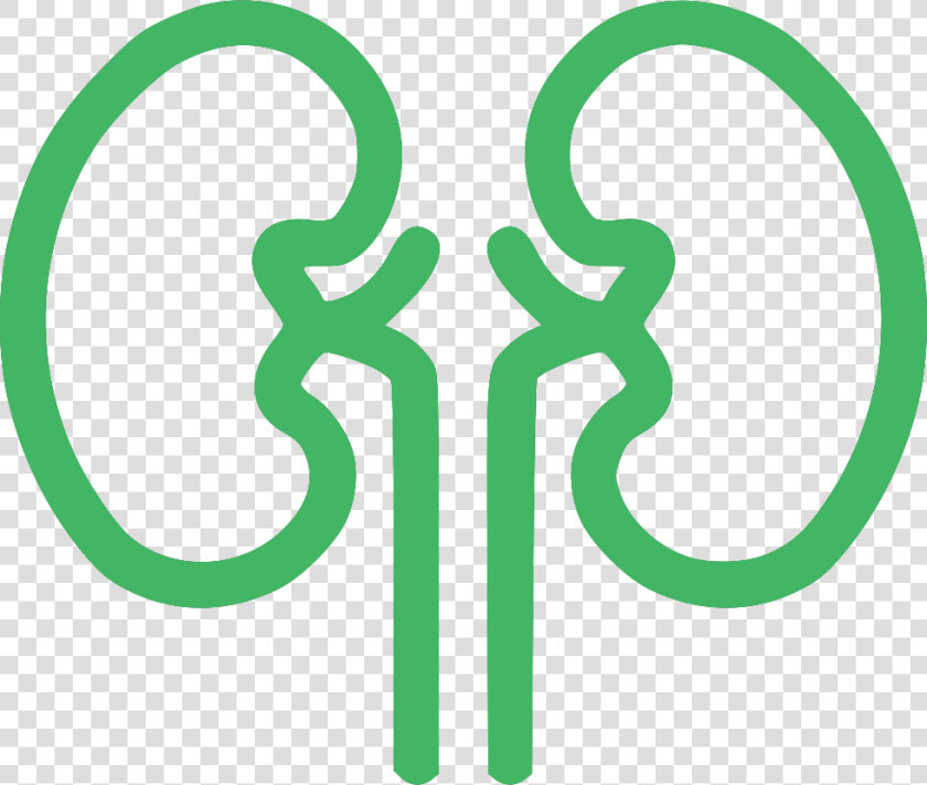 Ayurveda Upachar Kendra   Clip Art Of Kidney In Black And White  HD Png DownloadTransparent PNG