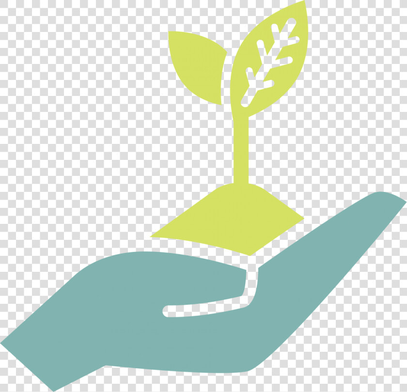 Hand Holding Green Sprout   Open Hands Illustration Png  Transparent PngTransparent PNG