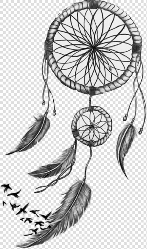 Dream Catcher   Tatuagem Desenho Filtro Dos Sonhos  HD Png DownloadTransparent PNG