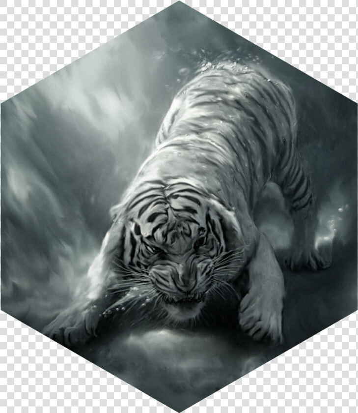 Painting White Tiger Angry   Siberian Tiger In Water  HD Png DownloadTransparent PNG