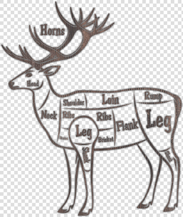 Brisket On A Deer  HD Png DownloadTransparent PNG