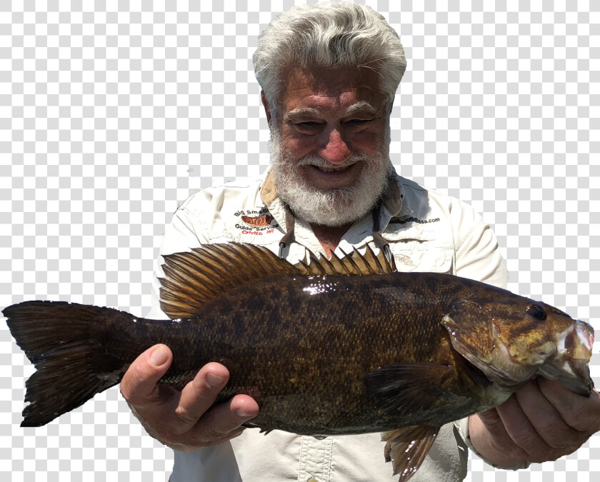 Carp  HD Png DownloadTransparent PNG