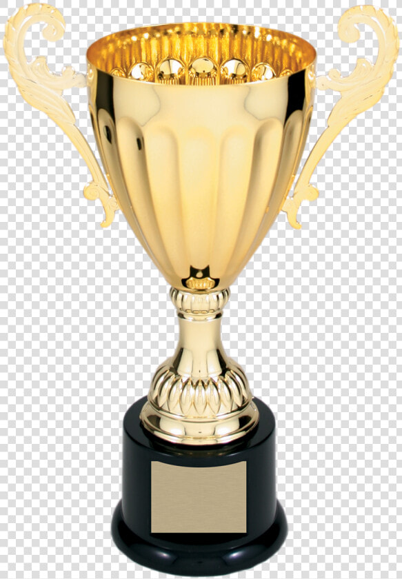 Gold Metal Corporate Cup Trophy   Type Of Trophies  HD Png DownloadTransparent PNG