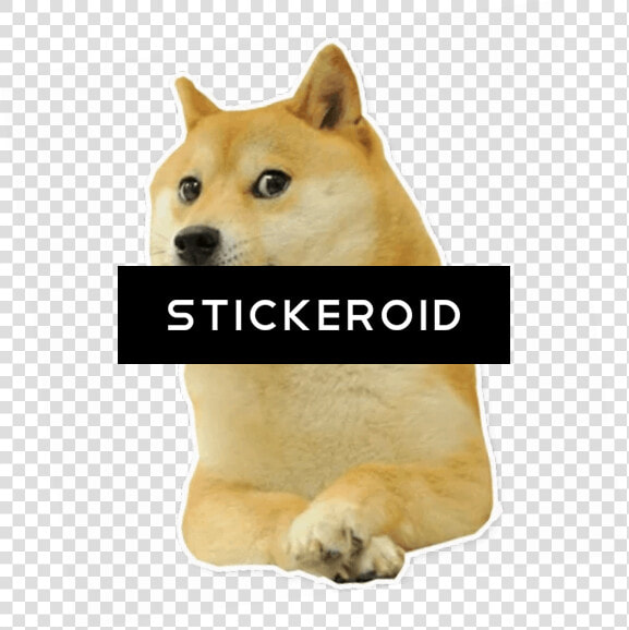 Transparent Doge Png   Doge Big Bro Png  Png DownloadTransparent PNG