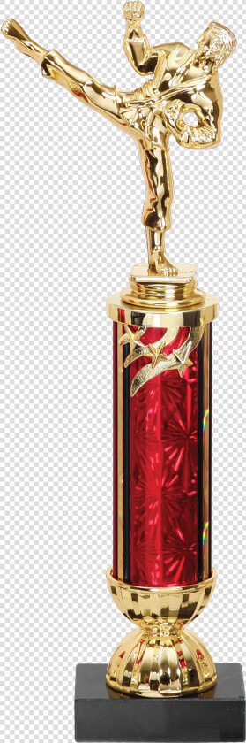 Medium Martial Arts Trophy   Trophy  HD Png DownloadTransparent PNG