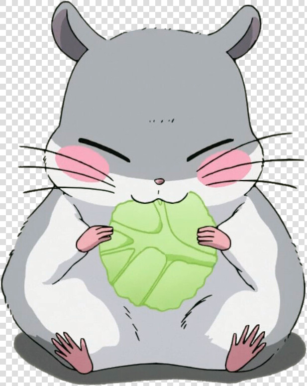 View Samegoogleiqdbsaucenao Hamster    HD Png DownloadTransparent PNG