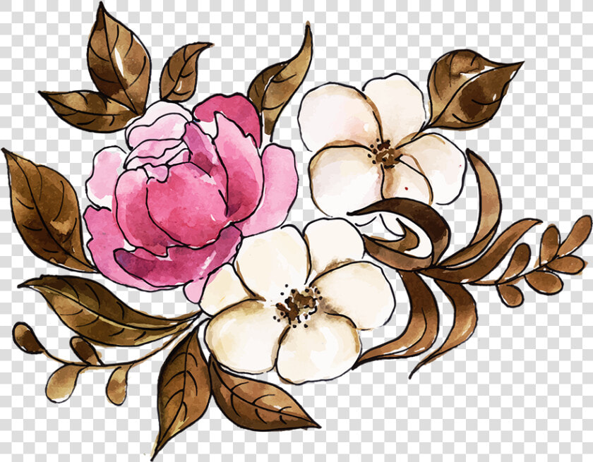 Rosa Glauca  HD Png DownloadTransparent PNG