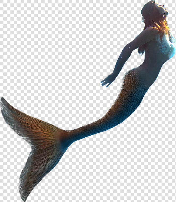 Little Mermaid Llc United Kingdom   Real Mermaid Transparent Png  Png DownloadTransparent PNG