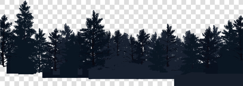 Forest Moon Vector   Forest Vector Png  Transparent PngTransparent PNG