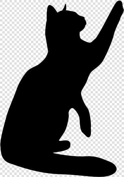 Cat Sticker Wall Decal   Transparent Background Transparent Decal  HD Png DownloadTransparent PNG