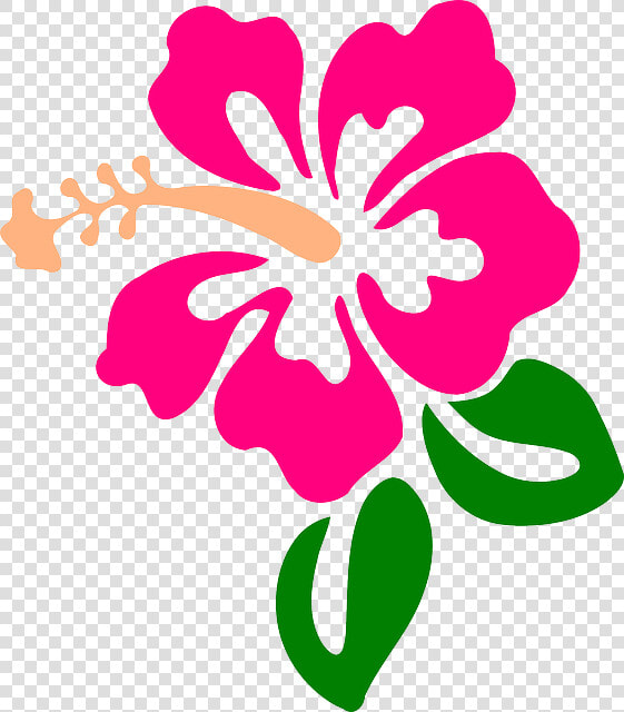 Hibiscus Flower Clipart   Hibiscus Clip Art  HD Png DownloadTransparent PNG